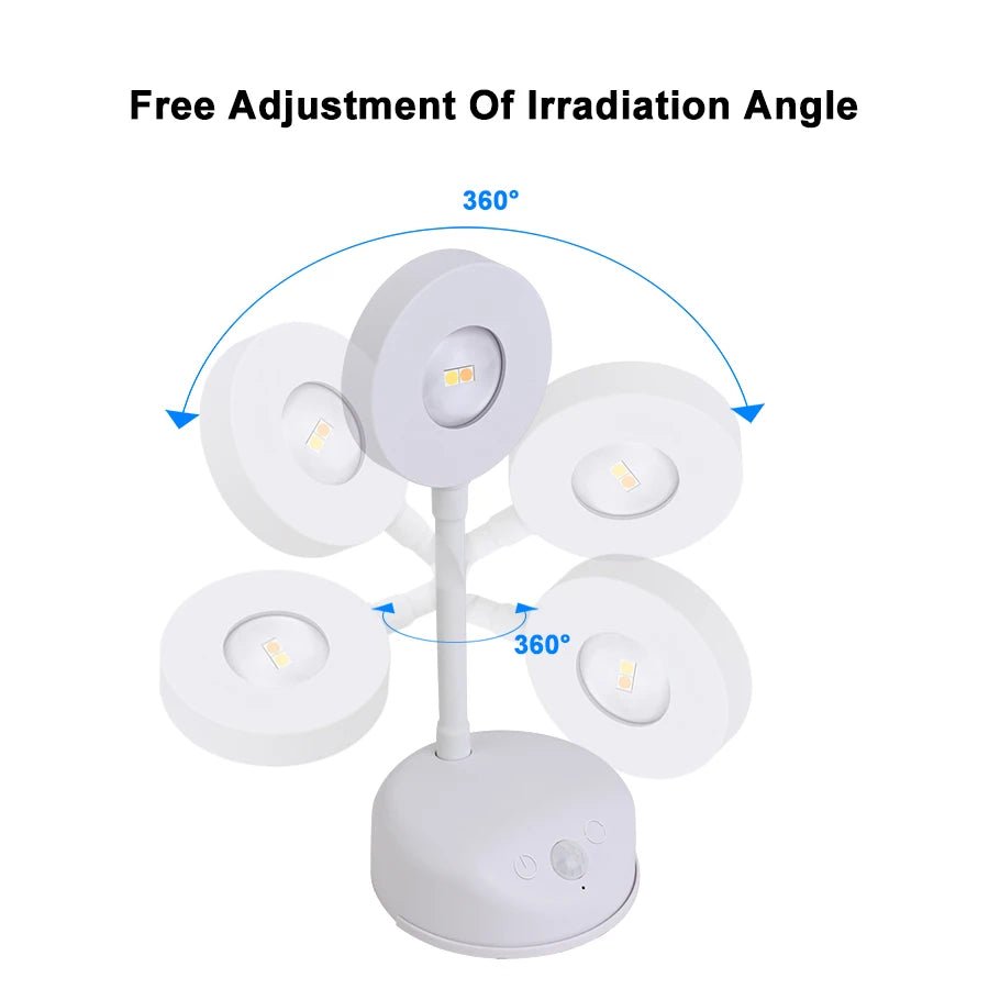LED Wall Light for Posters - car - artistry